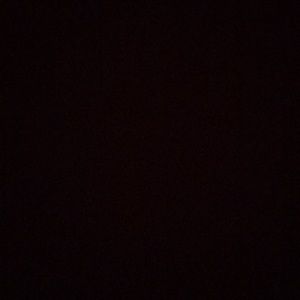 Meet your Posher, Frankie